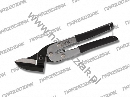 Large_31-065