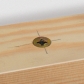 Thumb_wolfcraft-2546-c