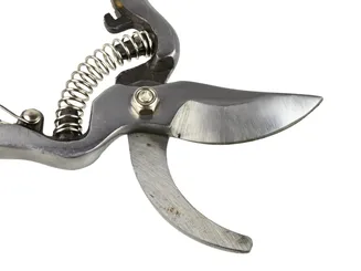 Geko Sekator ogrodowy 200mm Profi drewniana rączka G72002 - 2