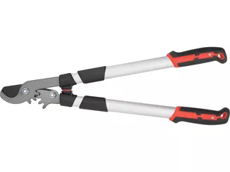 Yato Sekator do gałęzi z przekładnią i teleskopowym ramieniem YT-88291 - 2